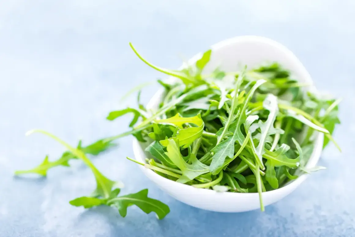 Świeża rukola w białej miseczce, gotowa na pyszne pesto z rukoli.