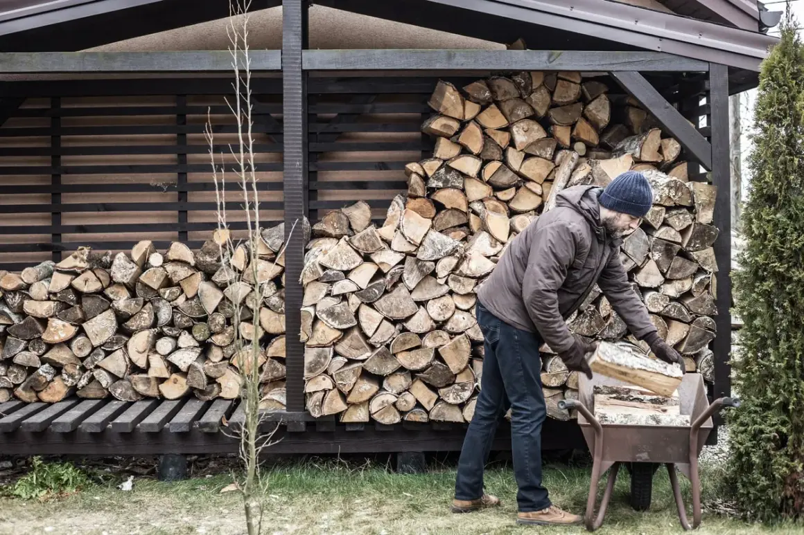 Mann lagert Holz im Freien. Ein Mann mit Bart und Mütze legt Holzscheite in eine Schubkarre, daneben ein großer Stapel Brennholz.