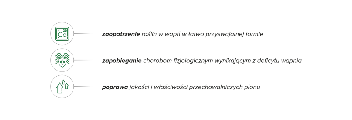 Wapń w łatwo przyswajalnej formie dla roślin. Wapnovit zapobiega chorobom i poprawia jakość plonów.