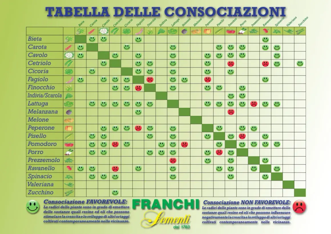 Tabella consociazioni ortaggi con faccine sorridenti (favorevole) e tristi (sfavorevole).