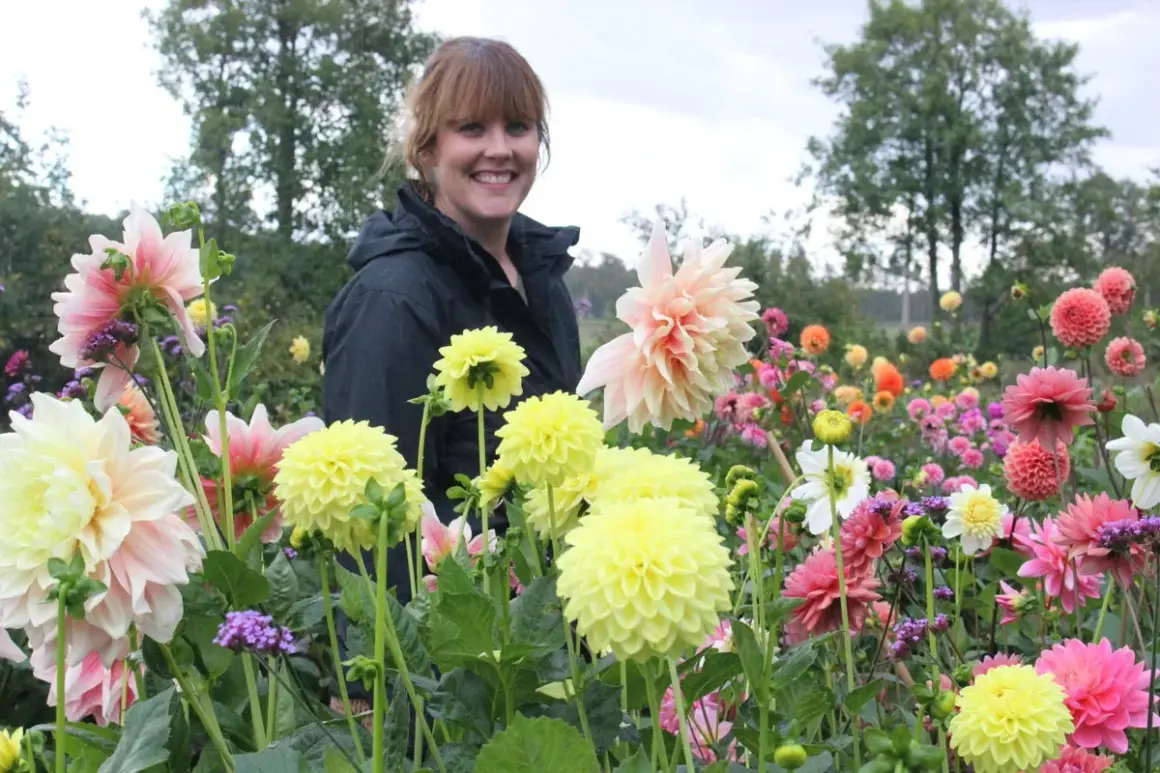 En kvinna ler i en blomsteräng med många dahlior. En vacker april blomma lyser upp bilden.