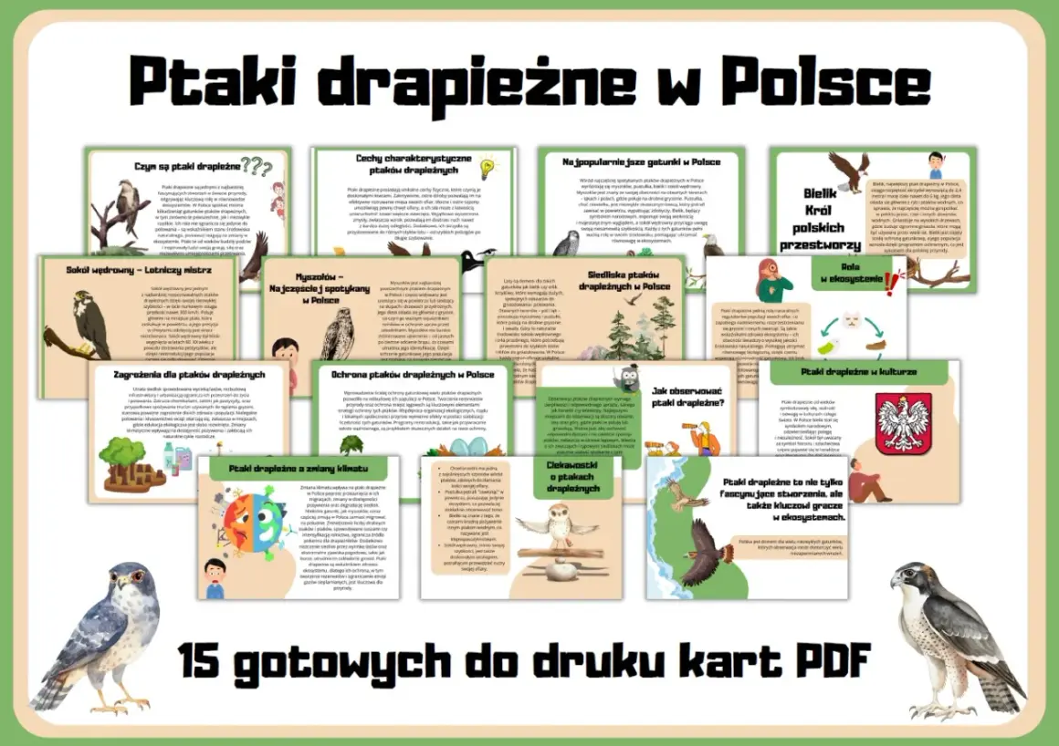 Ptaki drapieżne w Polsce: orzeł bielik, sokół wędrowny, myszołów. Poznaj ich cechy, siedliska, zagrożenia i rolę w ekosystemie.