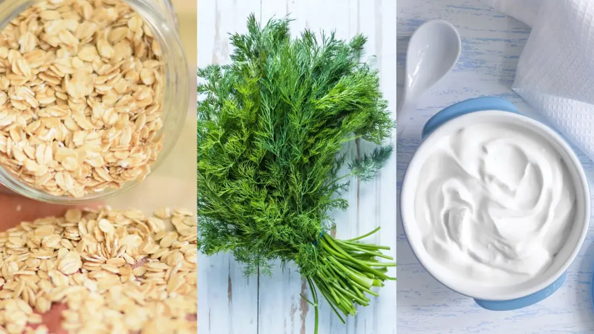 Haferflocken, Dill und Joghurt: Lebensmittel, die den Darm beruhigen und für Wohlbefinden sorgen.
