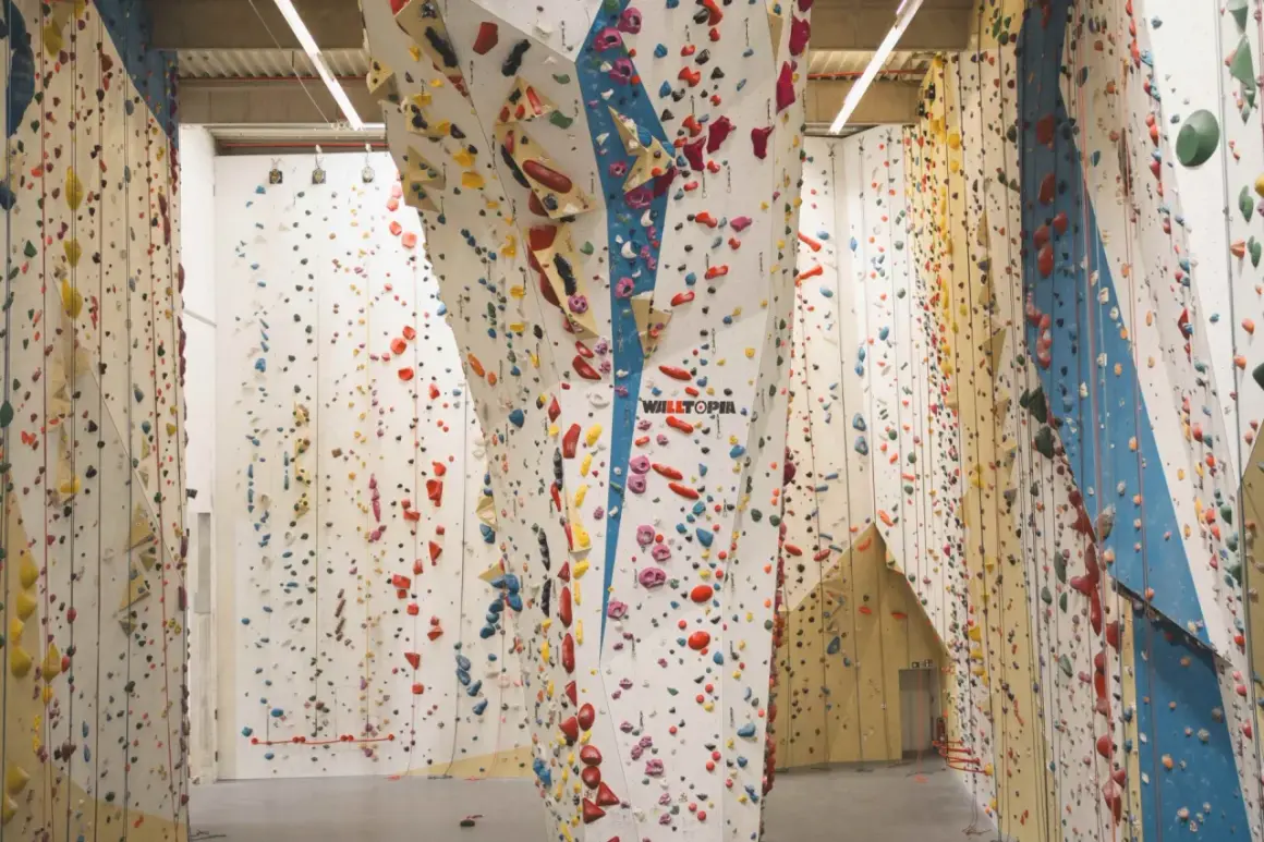 Bunte Griffe zieren die hohen Wände einer 2t Kletterhalle. Ein Paradies für Kletterfans, das zum Erklimmen einlädt.