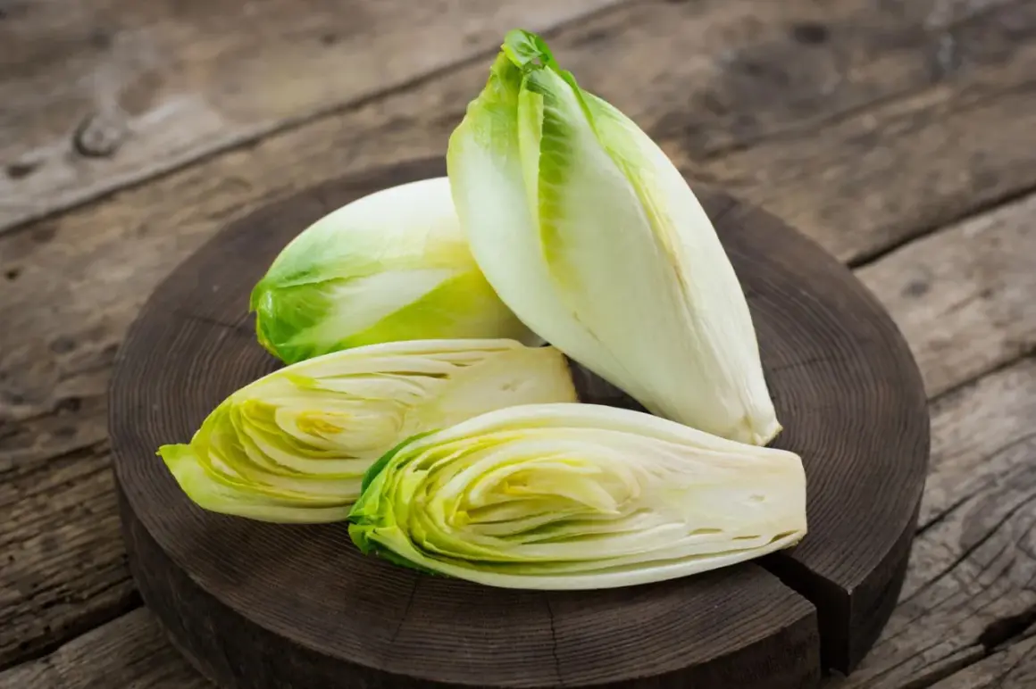 Frische Chicorée-Köpfe, einer davon halbiert, liegen auf einem Holzbrett. Perfekt für einen knackigen Chicorée-Salat.