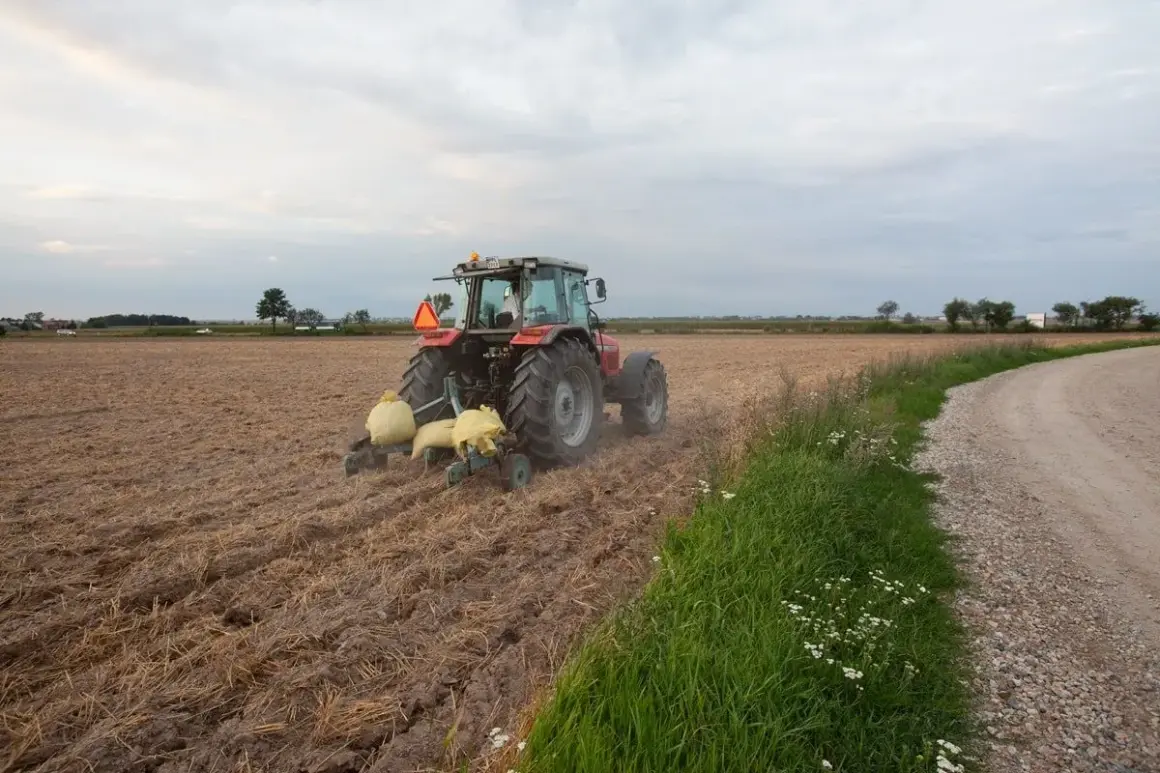 Czerwony traktor wykonuje głęboszowanie na polu. W tle widać drogę i drzewa.