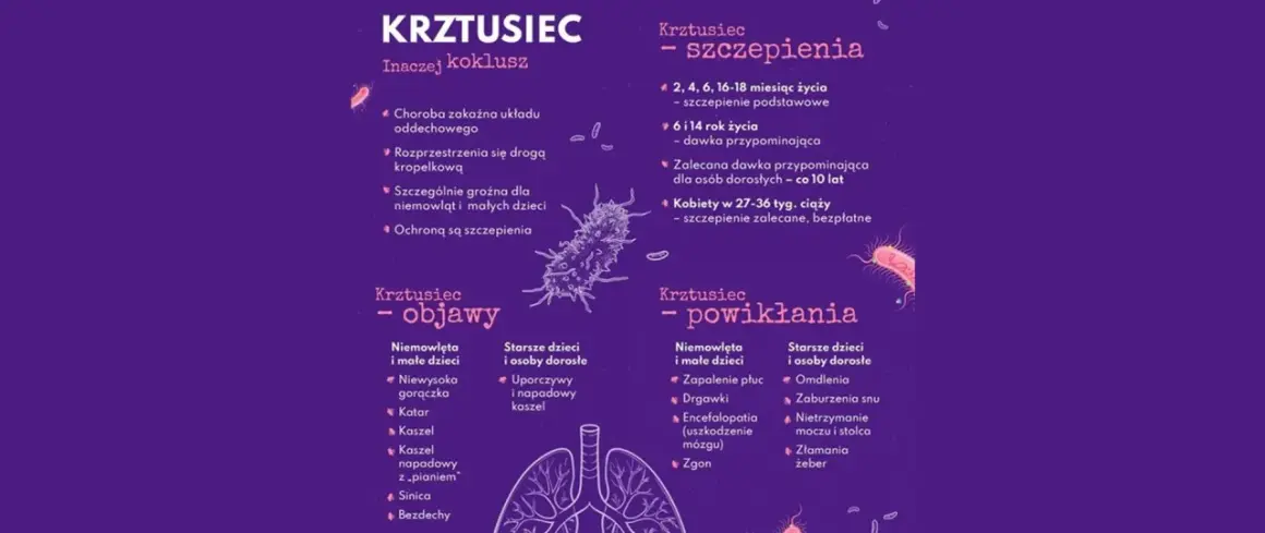 Informacje o krztuścu: objawy, powikłania i zalecenia dotyczące szczepień. Szczepionka na krztusiec chroni przed tą groźną chorobą.