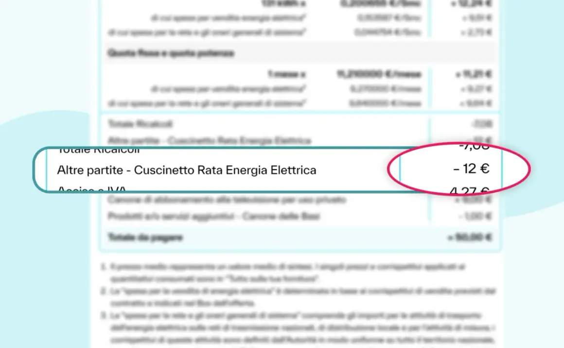 Dettaglio bolletta luce: "Altre partite - Cuscinetto Rata Energia Elettrica" con un costo di -12 €.