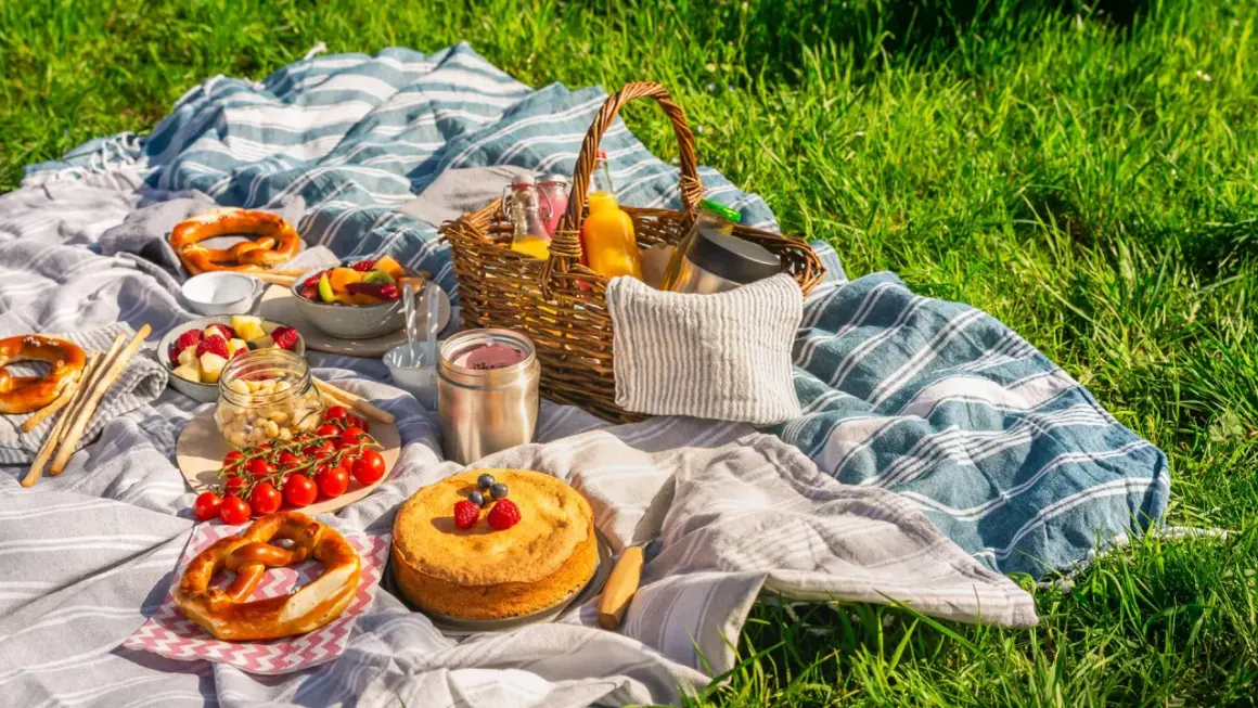 Picknickdecke mit Brezeln, Obst, Kuchen und Säften. Ein perfekter Tag für ein Picknick im Grünen.