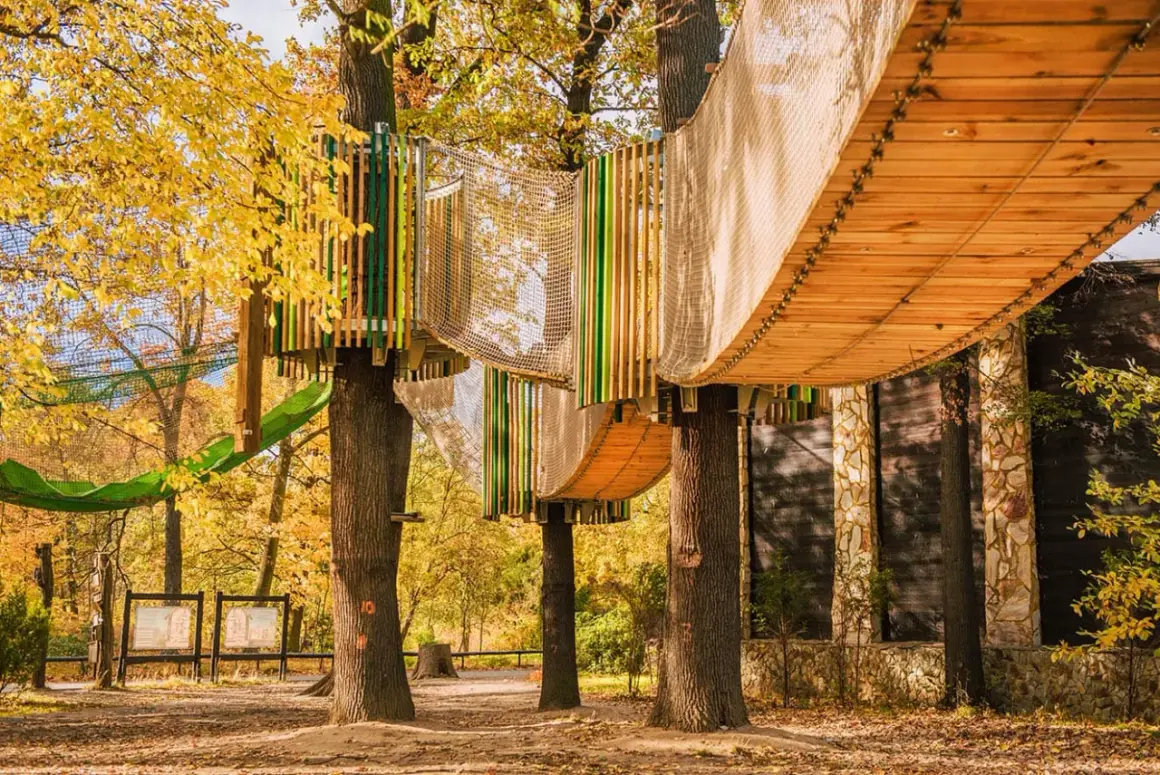 Drewniane kładki i siatki tworzą ścieżki w koronach drzew. Jesienny park linowy we Wrocławiu zaprasza do zabawy.