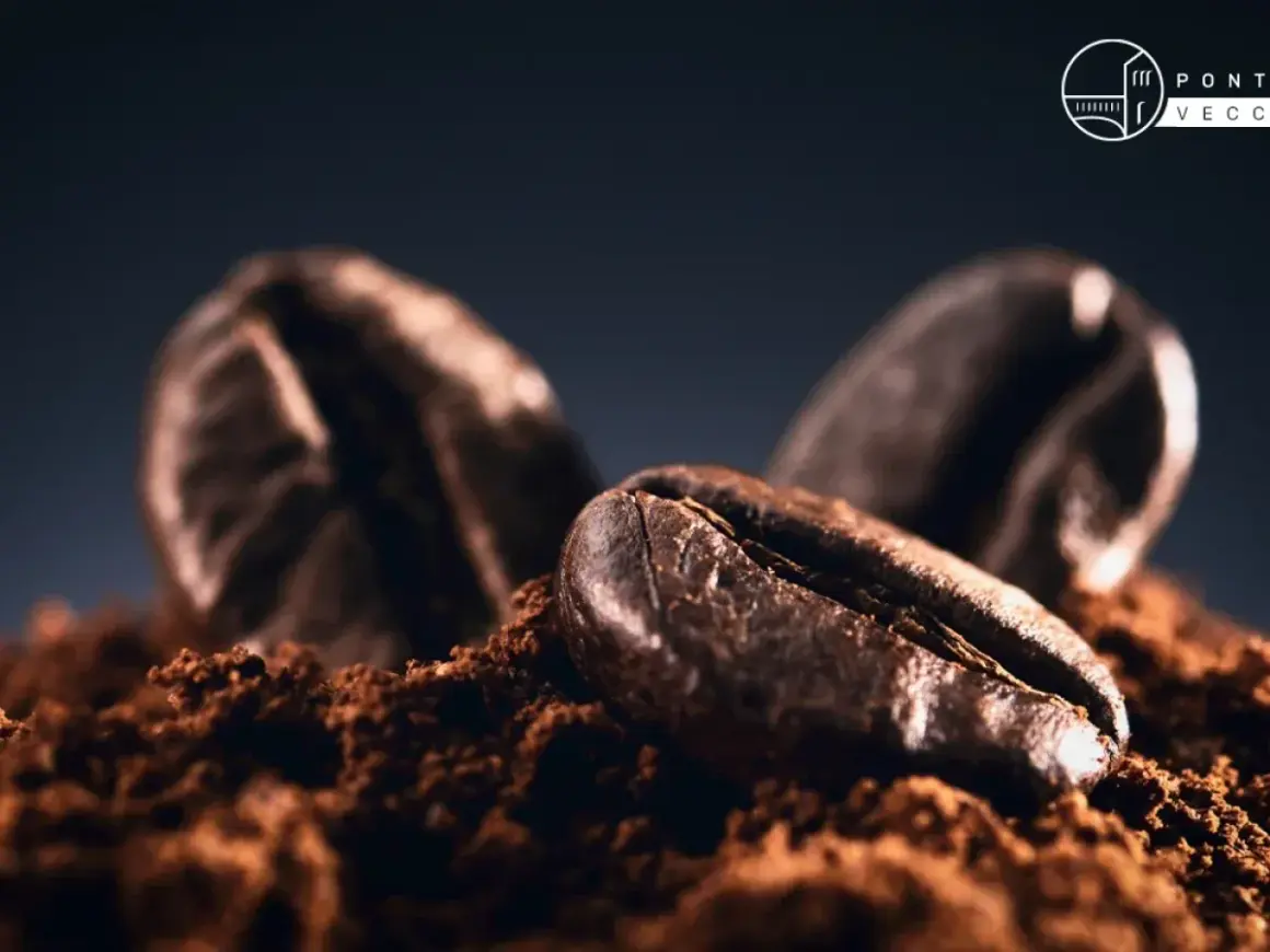 Chicchi di caffè tostati su polvere, un'immagine che evoca il miglior caffè al mondo.