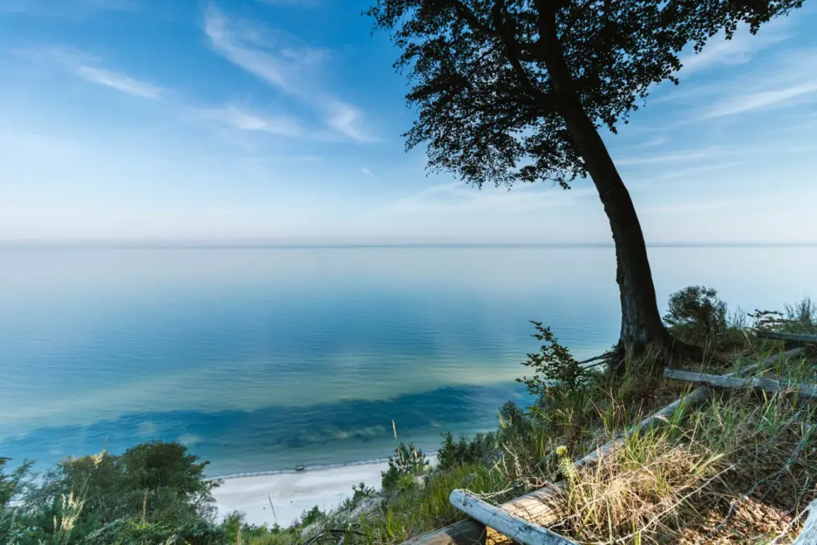 Widok na spokojne morze z klifu w Międzyzdrojach. Drzewo na pierwszym planie, plaża w oddali. Piękne międzyzdroje atrakcje.