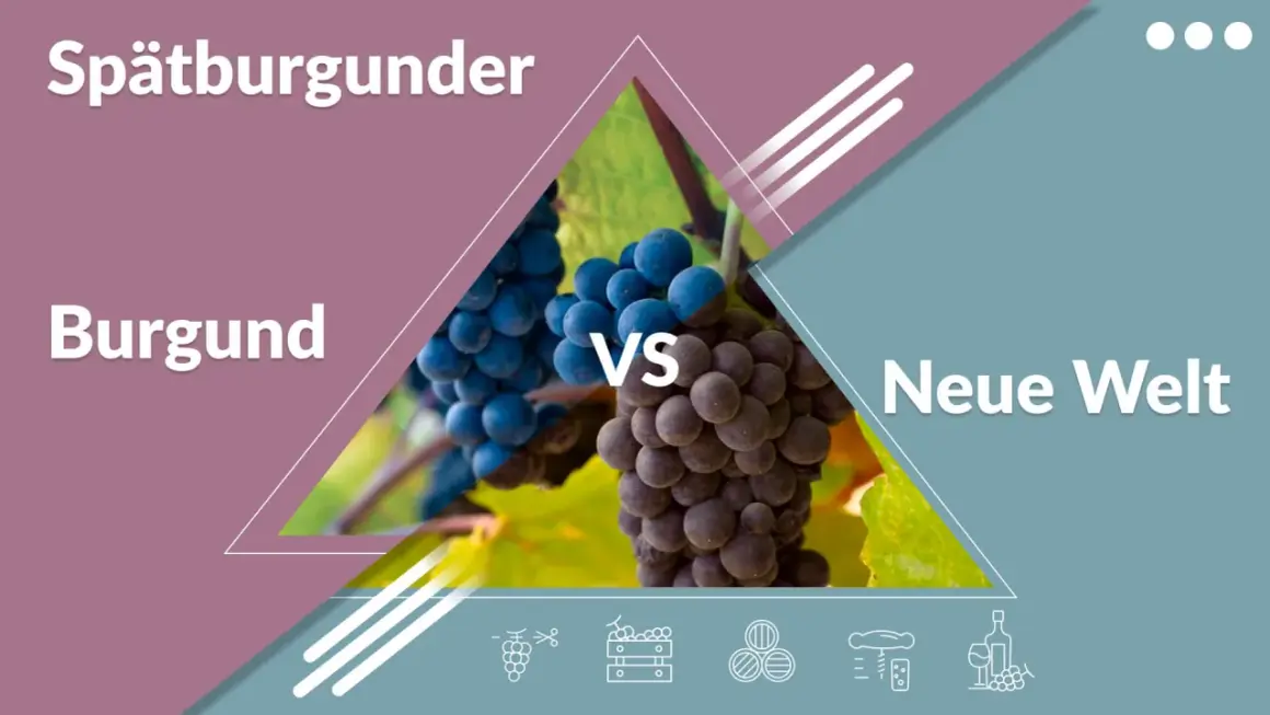 Spätburgunder: Burgunder vs. Neue Welt. Zwei Trauben, ein Wein.