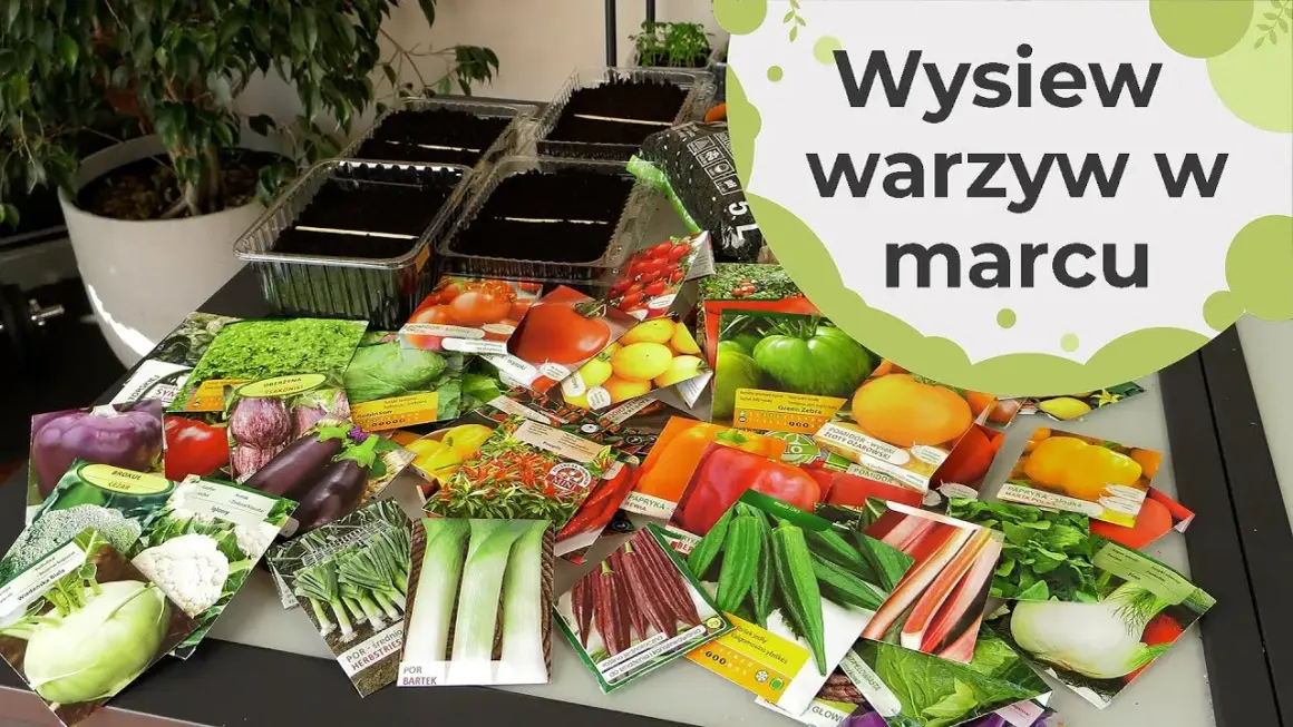 Jakie warzywa sadzimy w marcu? Oto najlepsze wybory na wiosnę