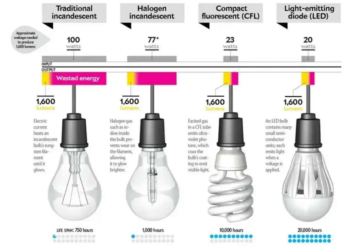 Porównanie różnych typów żarówek: tradycyjnej, halogenowej, świetlówki CFL i LED. Pokazuje, co to jest źródło światła i ile energii zużywa każda z nich.