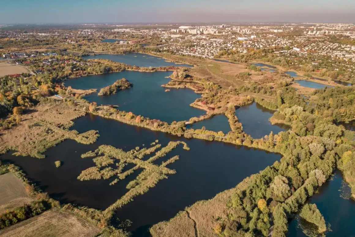 Widok z lotu ptaka na kompleks stawów otoczonych trzcinami i lasem, w tle miasto.