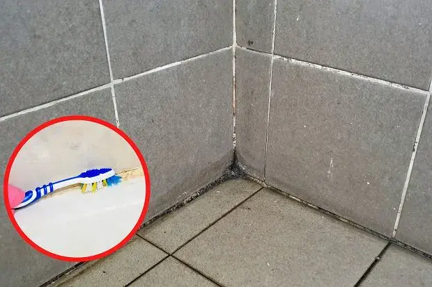 Czyste fugi bez wysiłku? Sprawdzone metody na brud i pleśń!