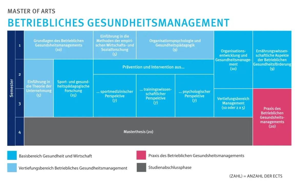 Struktur eines Masterstudiums im Betrieblichen Gesundheitsmanagement mit Modulen wie Prävention, Sportpädagogik und Praxis.