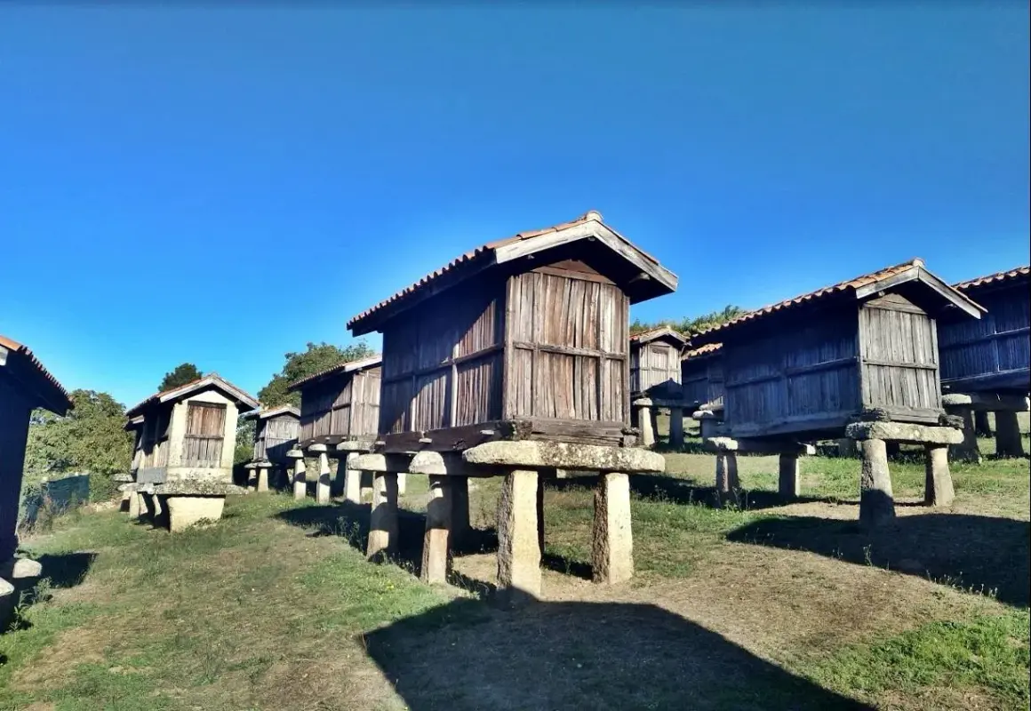 Fila de hórreos de madera sobre pilares de piedra, un paisaje rural típico de Galicia.