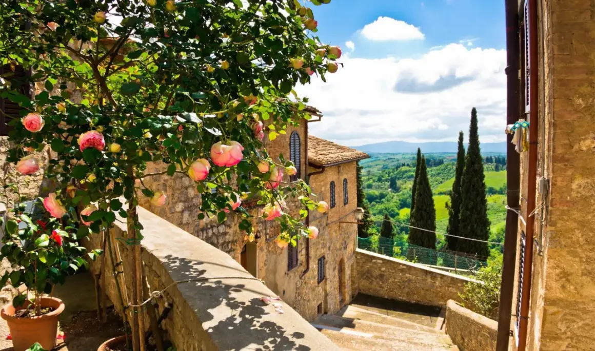 Vacker rosenträd med rosa blommor framför ett stenhus i Toscana. Perfekt för en resa till Toscana tips.