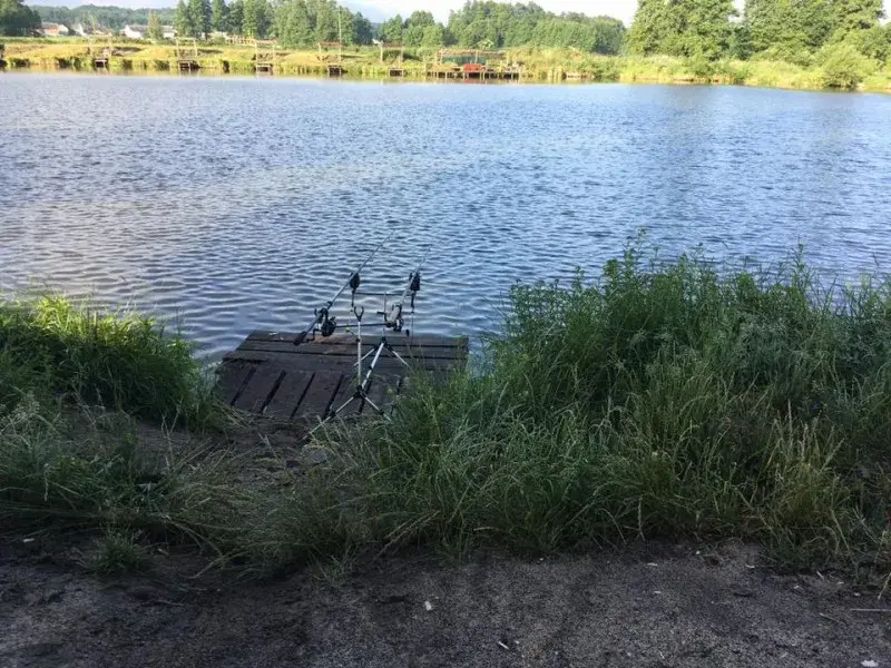Łowisko Rokitnica: Cennik, zasady, ryby. Wszystko przed wizytą!