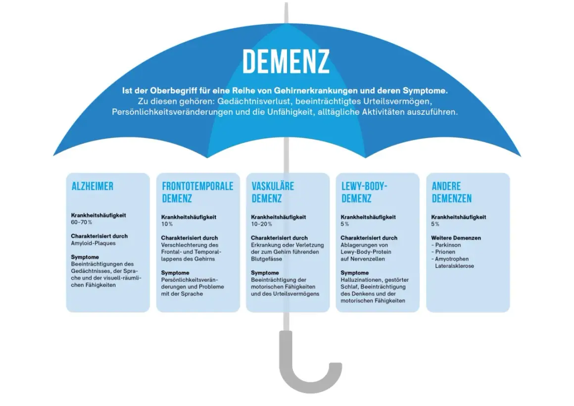 Übersicht über Demenzformen: Alzheimer (60-70% Häufigkeit) mit Amyloid-Plaques, beeinflusst Gedächtnis, Sprache, räumliche Fähigkeiten. Die Lebenserwartung bei Alzheimer variiert.