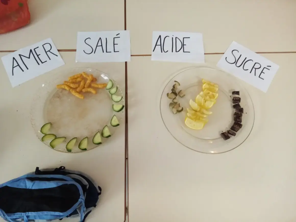 Plats avec des aliments pour un jeu du goût adulte : amer (chips, concombre), salé (chips), acide (citron), sucré (chocolat).