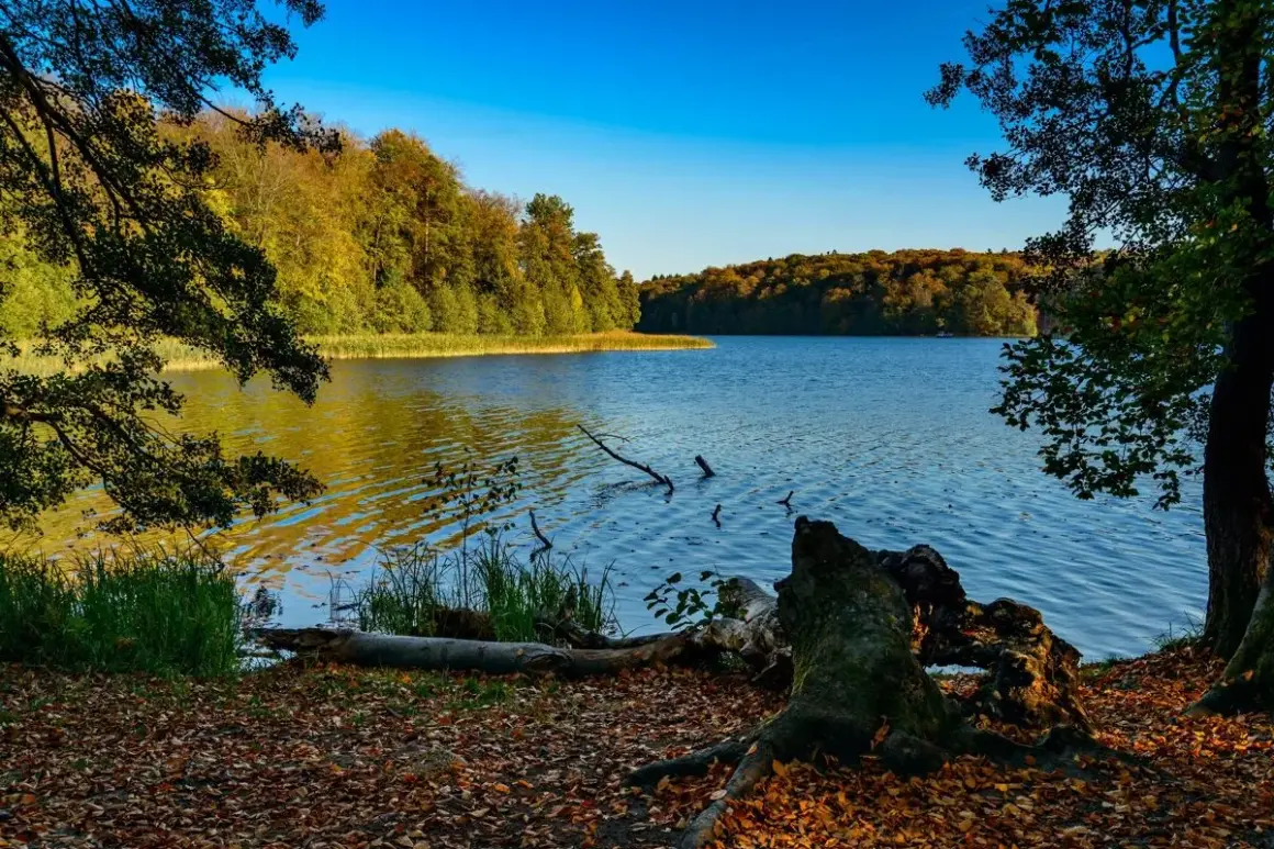 Jesienne barwy lasów otaczają spokojne jezioro, idealne na wędrówkę po szlakach turystycznych w Polsce.