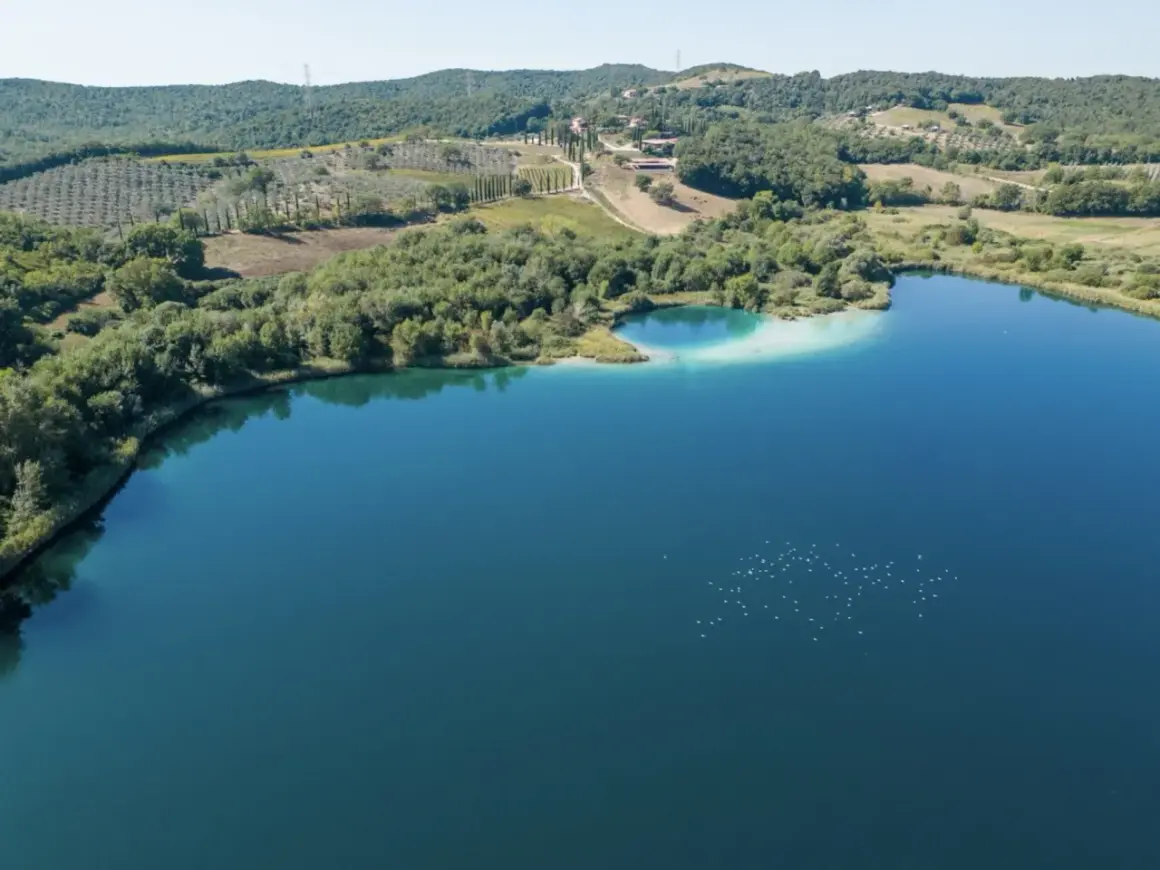 Il **lago dell'Accesa** brilla sotto il sole, circondato da colline verdi e uliveti. Un gruppo di uccelli bianchi danza sull'acqua.