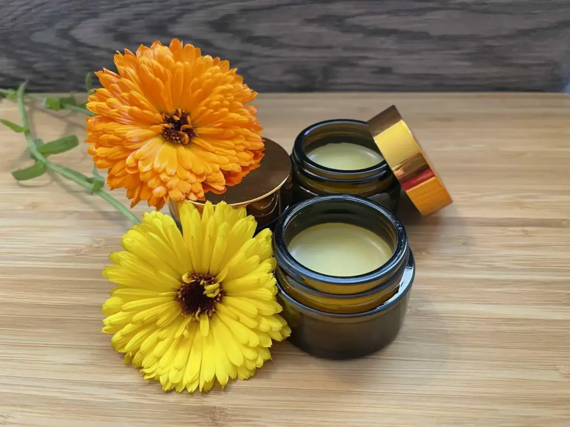 Zwei Gläser mit selbstgemachter Ringelblumensalbe, daneben leuchtend orange und gelbe Ringelblumen.