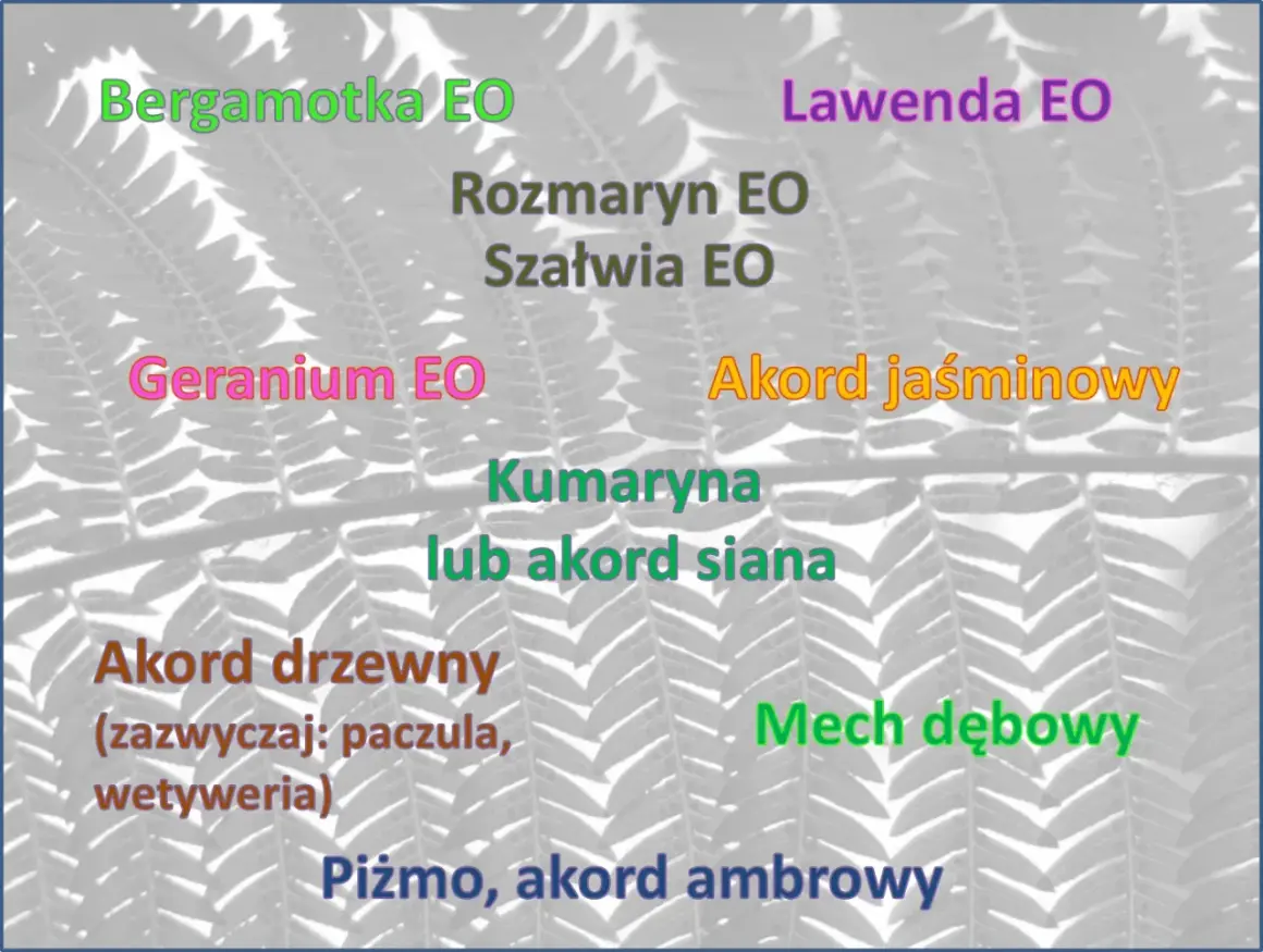 Zapach lawendy, bergamotki, jaśminu i innych nut zapachowych na tle paproci.