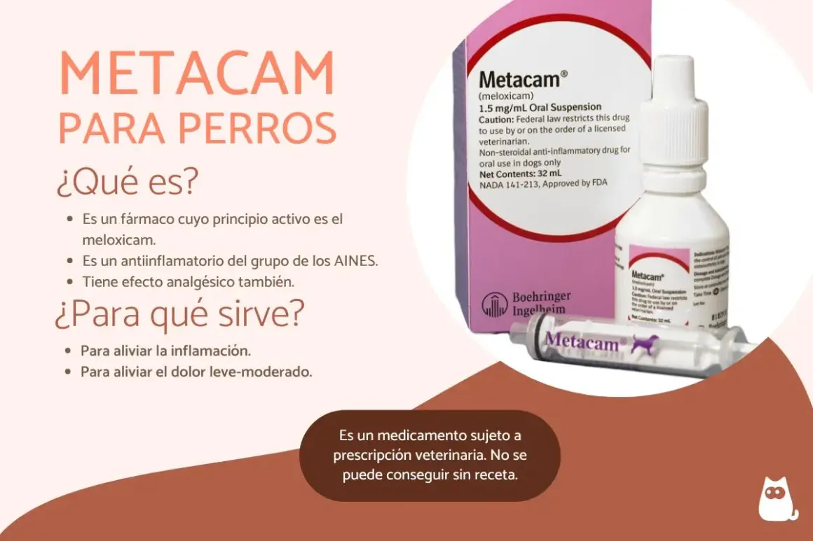 Metacam para perros, con meloxicam, alivia inflamación y dolor. No se consigue meloxicam perros sin receta.