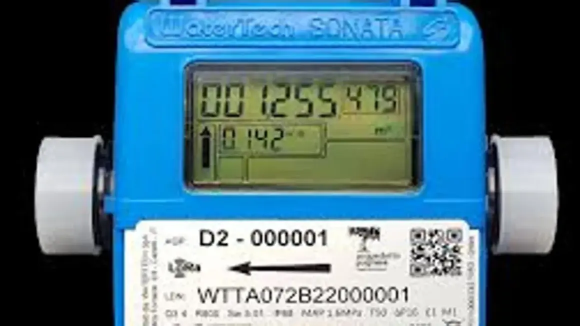 Contatore 2G WaterTech SONATA: come riconoscerlo. Mostra letture digitali e codice modello WTTA072B220000001.