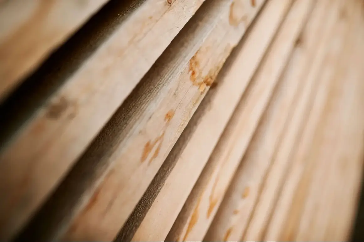 Lignes de bois avivé, aux teintes claires et naturelles, prêtes à être transformées.