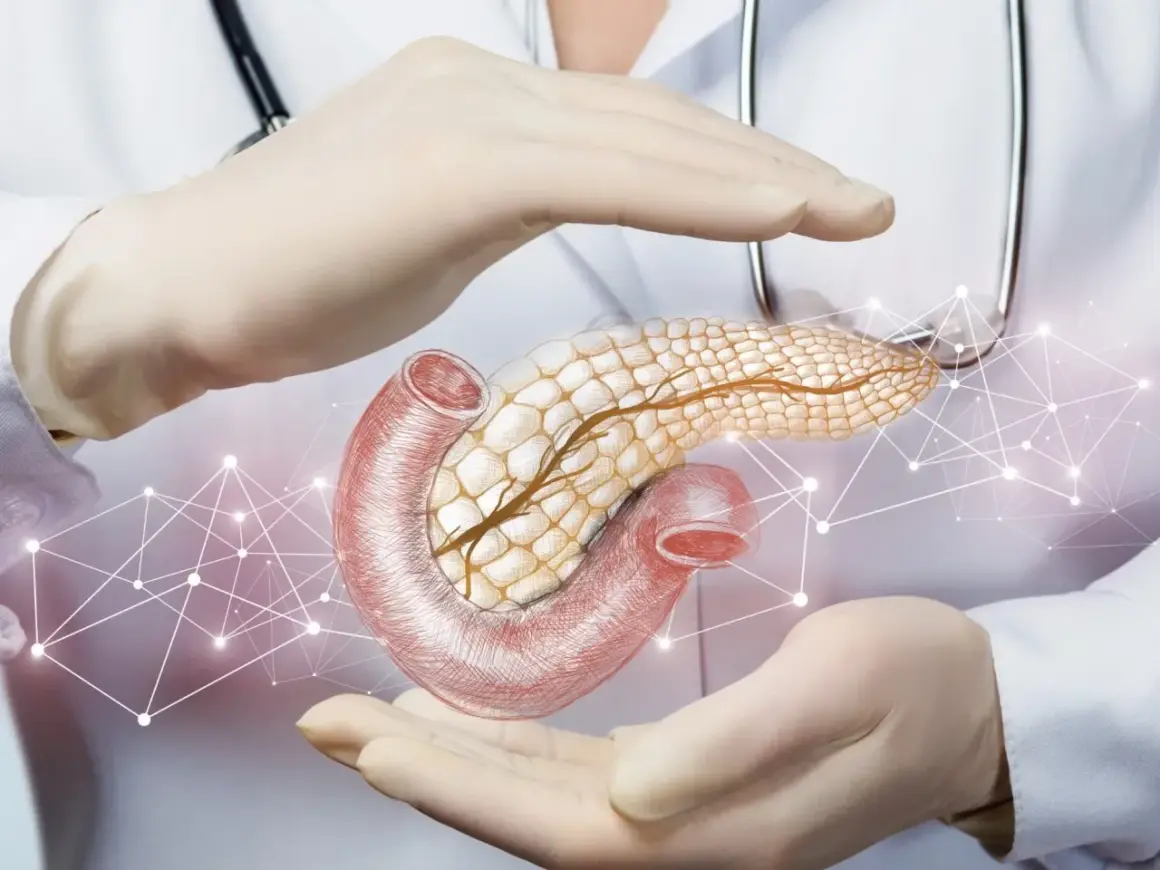 Dłonie w rękawiczkach otaczają trzustkę i dwunastnicę, symbolizując opiekę nad produkcją hormonów, w tym kluczowego hormonu trzustki.