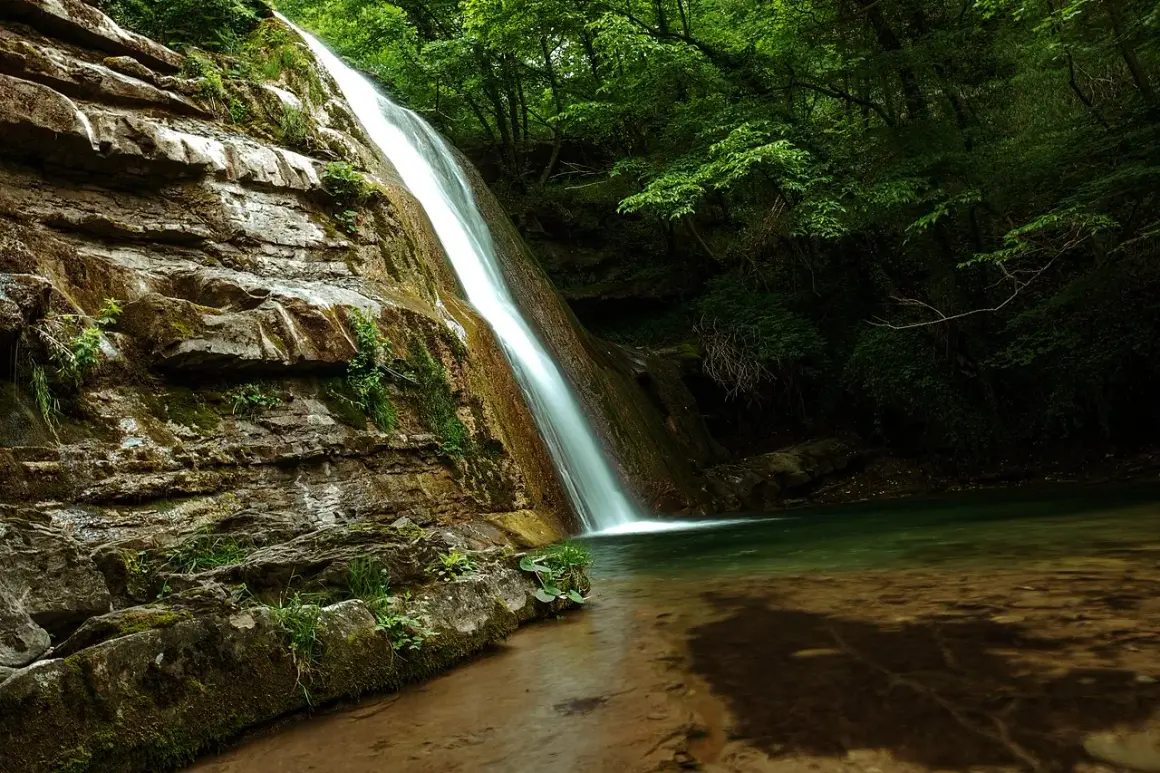 Le cascate dell'Acquacheta scendono su rocce muschiose in una foresta lussureggiante, creando un'oasi di pace.