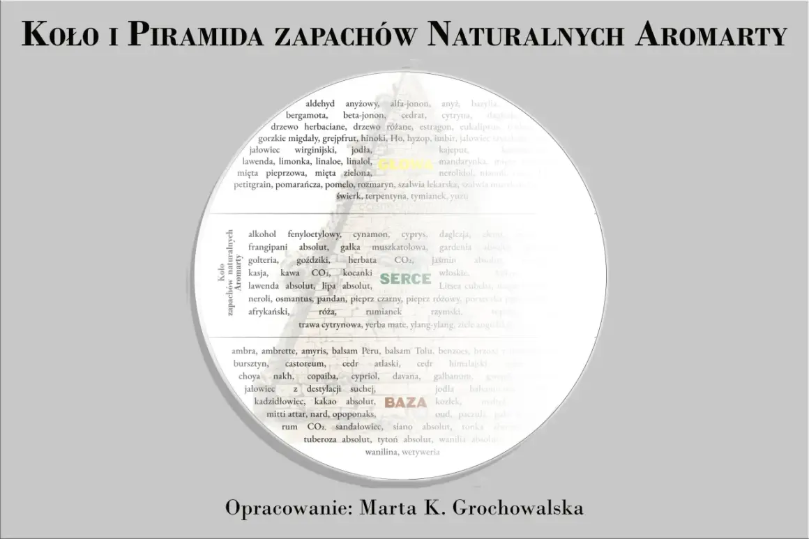 Koło i Piramida Zapachów Naturalnych Aromarty: lista nut zapachowych perfum, od cytrusowych po drzewne i kwiatowe.