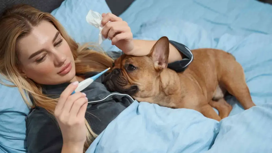 Mujer con termómetro y perro en cama. ¿Fiebre en perros como bajarla?