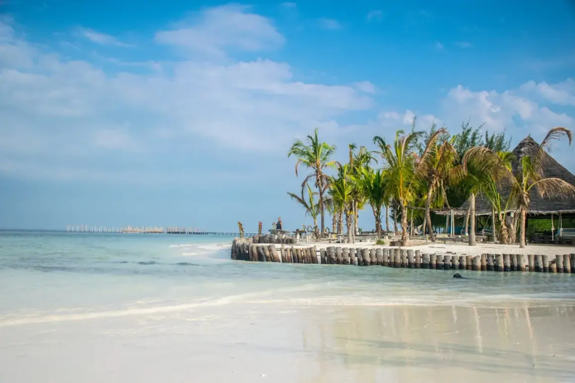 Piękna plaża z palmami i drewnianym molo. Zastanawiasz się, ile się leci na Zanzibar? To raj na ziemi!