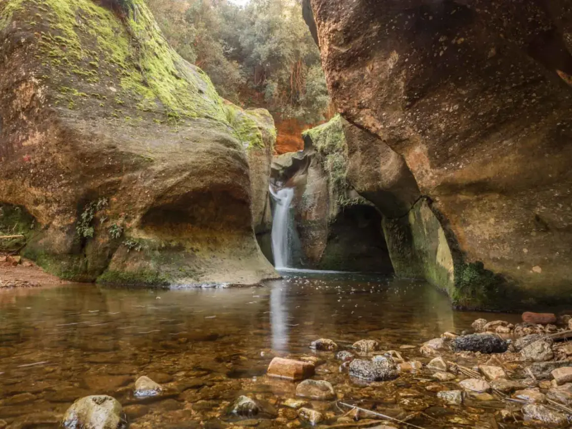 Cascada en el gorg de la Mola, rodeada de rocas cubiertas de musgo y vegetación. El agua clara refleja el entorno natural.