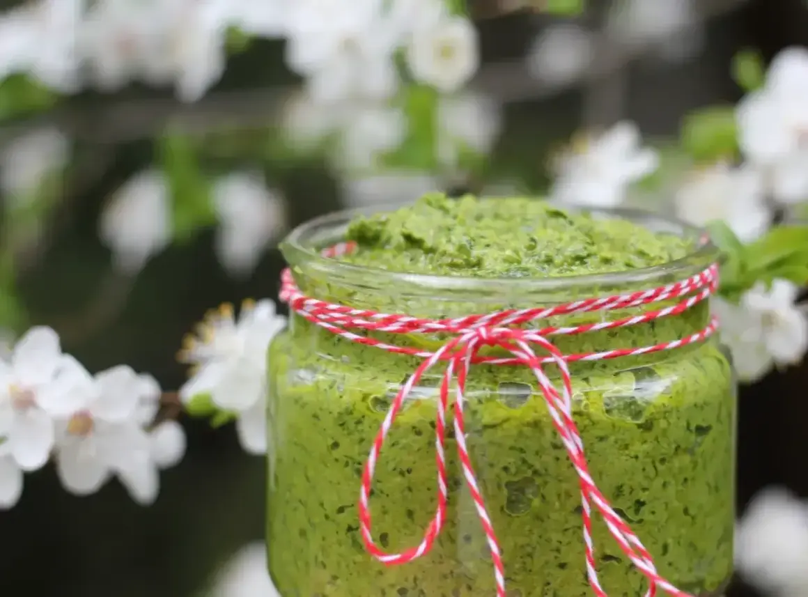Słoik domowego pesto z czosnku niedźwiedziego, ozdobiony sznurkiem, na tle kwitnących drzew.