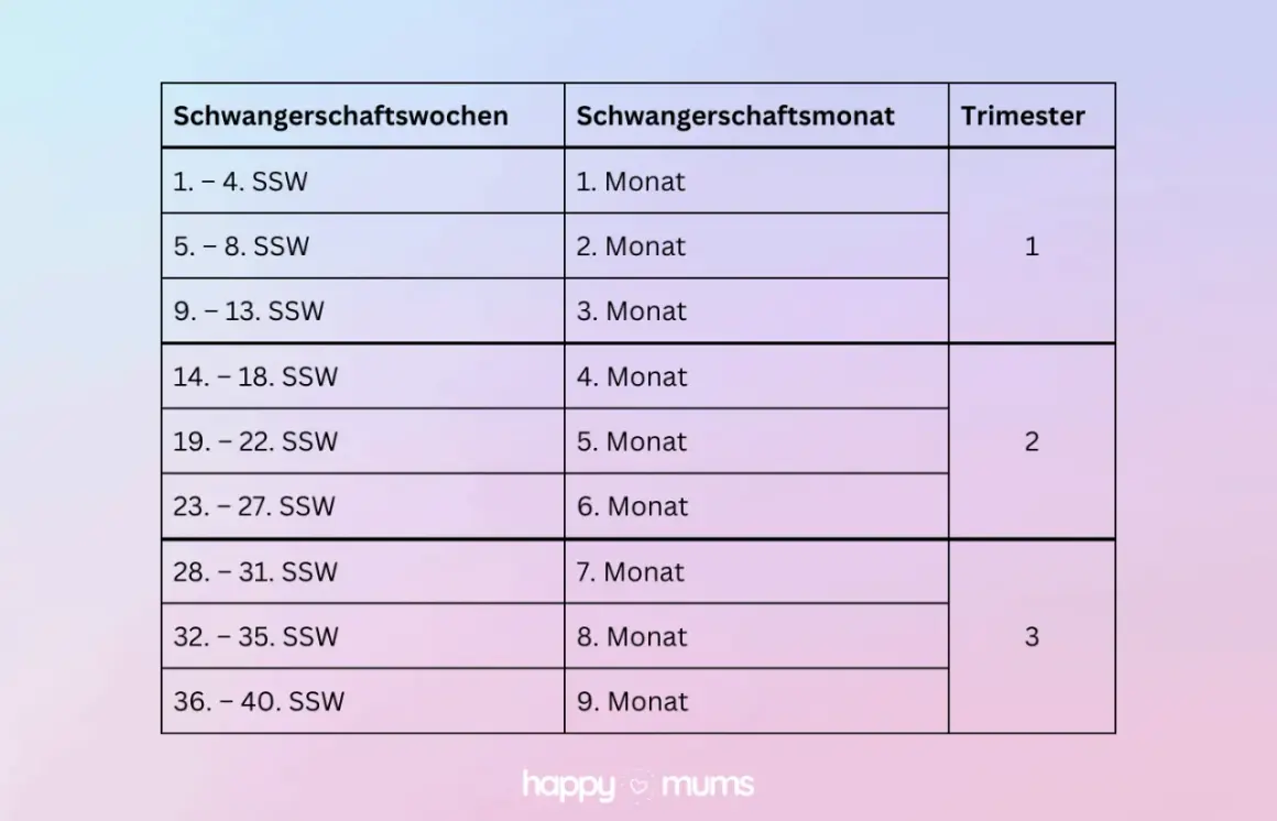 Tabelle zeigt Schwangerschaftswochen, welche SSW welcher Monat ist, und Trimester.