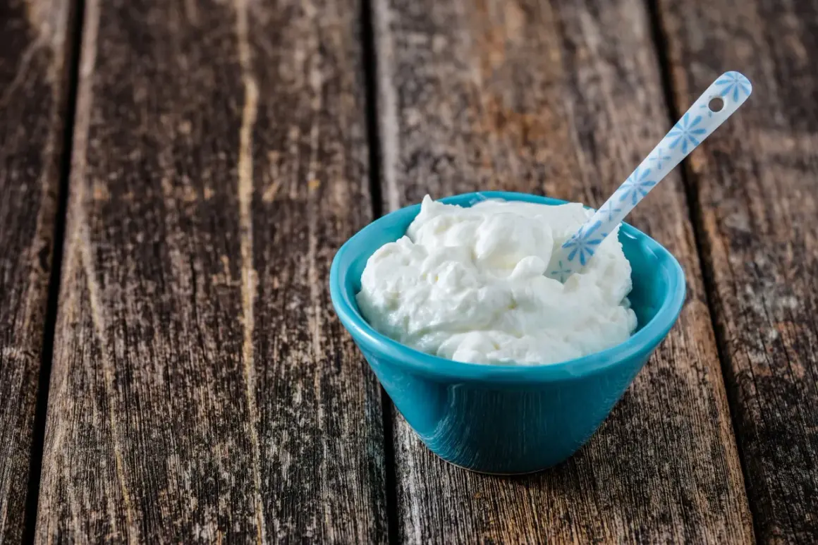 Ein blauer Napf mit cremigem Skyr oder Magerquark, bereit zum Genuss.