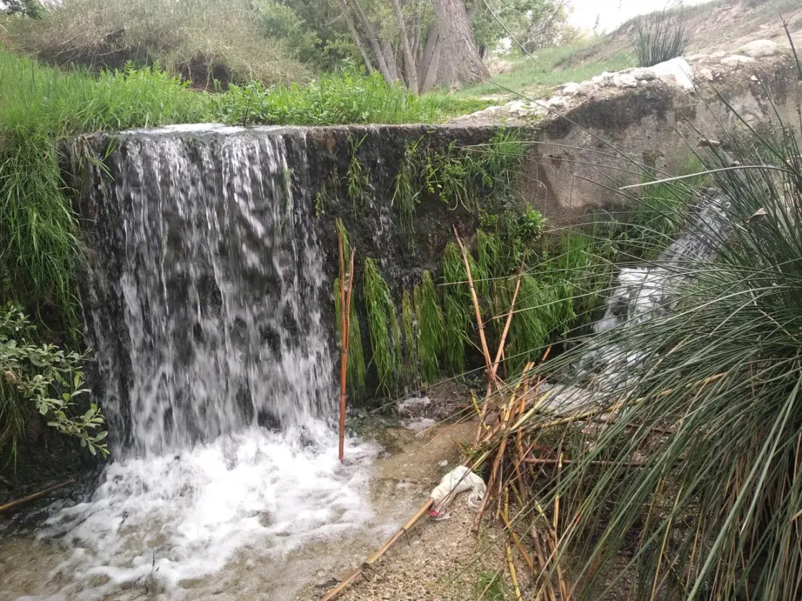 Cascada en un **río chico** con vegetación exuberante y cañas secas. El agua cae sobre rocas y se acumula en un pequeño estanque.