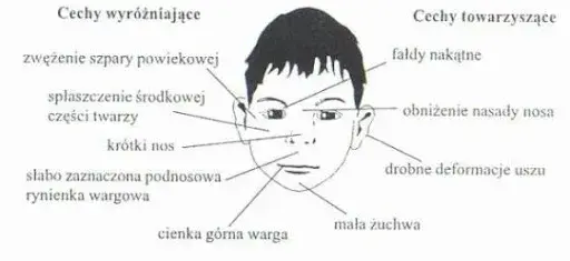 FAS: objawy psychiczne. Jak rozpoznać i wspierać dziecko z FASD?