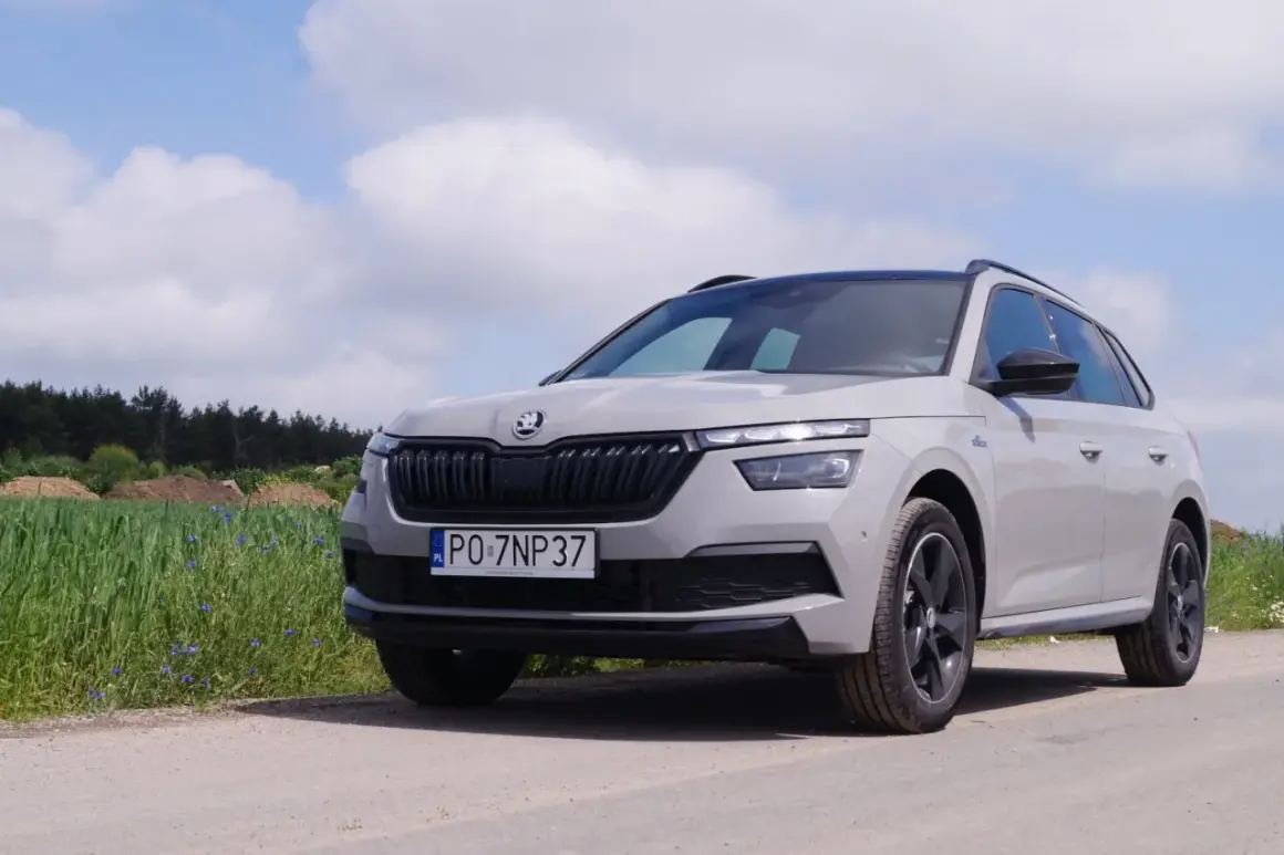 Szary Skoda Kamiq na tle pola i nieba.