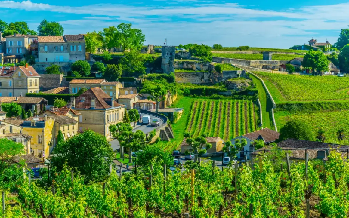 Malownicze winnice i kamienne domy w Bordeaux, gdzie dojrzewa wino.
