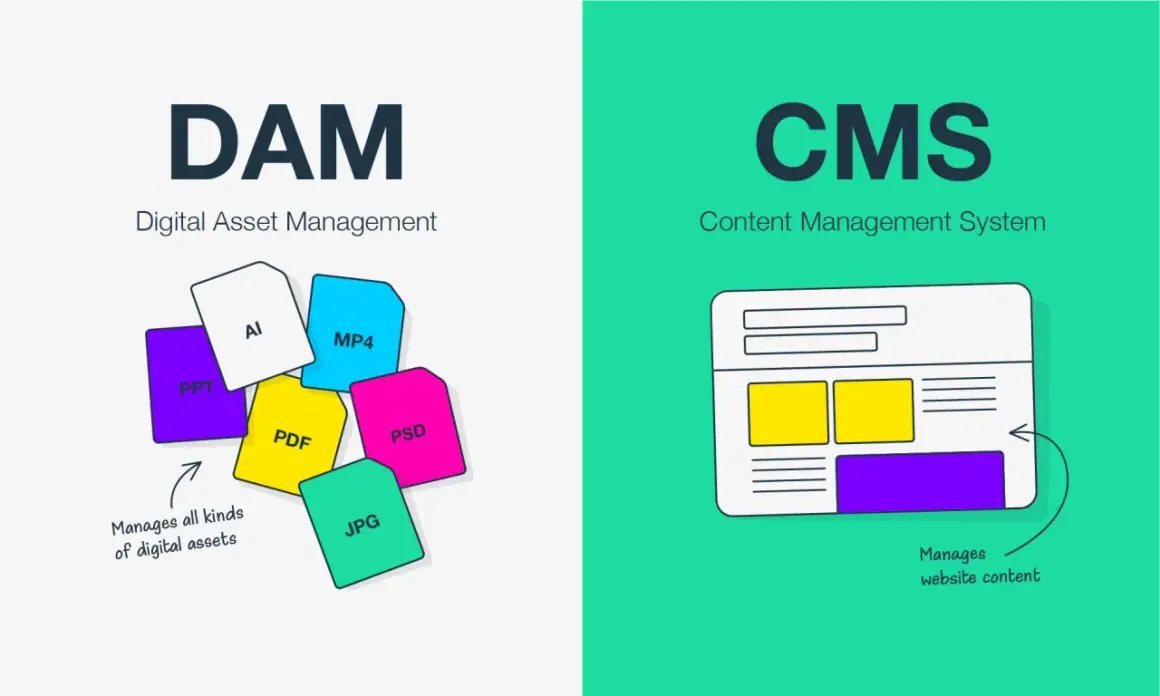 DAM manages all digital assets like PPT, AI, PDF, JPG, PSD, MP4. CMS manages website content.
