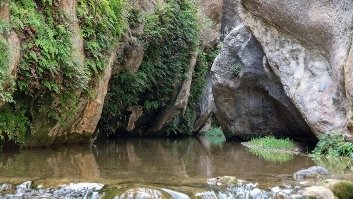 Un remanso de paz entre rocas y vegetación exuberante, un rincón secreto de los **ríos en Almería** donde el agua refleja el verdor.