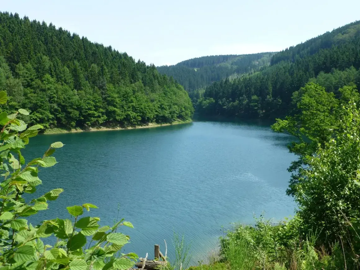 Idyllische Aggertalsperre mit bewaldeten Hängen. Perfekt für eine entspannte Wanderung am Wasser.